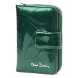 Pierre Cardin 02 LEAF 115 zelený