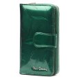 Pierre Cardin 02 LEAF 116 zelený