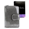 Pierre Cardin 05 LINE 115 popel