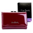 Pierre Cardin 05 LINE 117 nachový