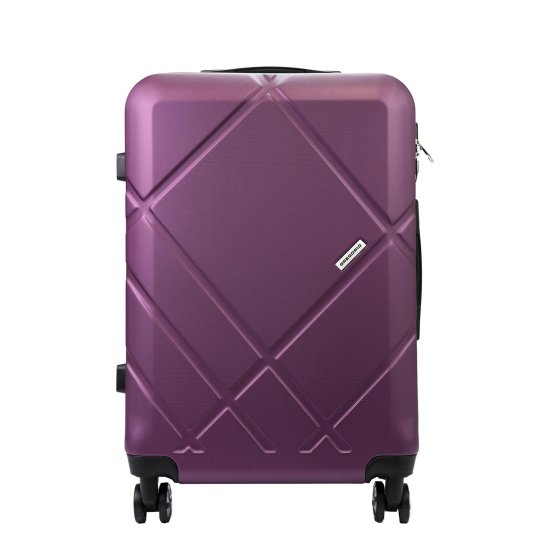 Gregorio W3015 S24 borůvka