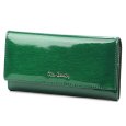 Pierre Cardin 05 LINE 100 zelený