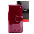 Pierre Cardin 07 SHINY 116 nachový